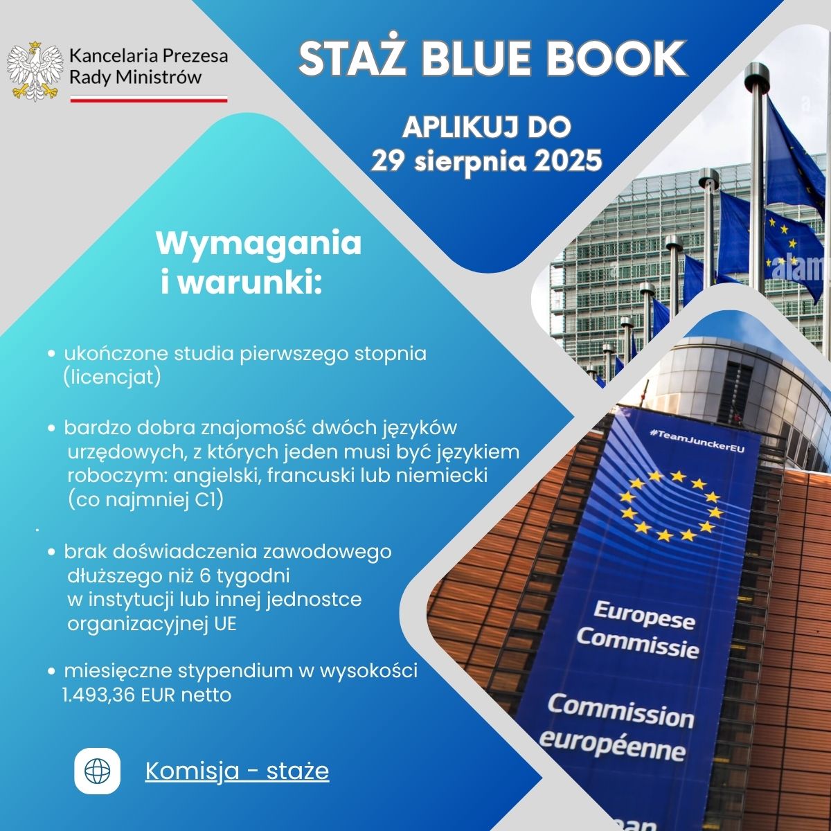 STAŻE BLUE BOOK